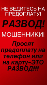 шкура ОСТЕРЕГАЙТЕСЬ  в Калужской области